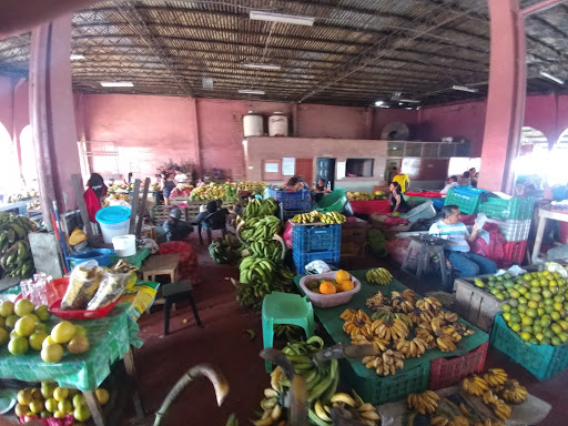 Mercado de Productores