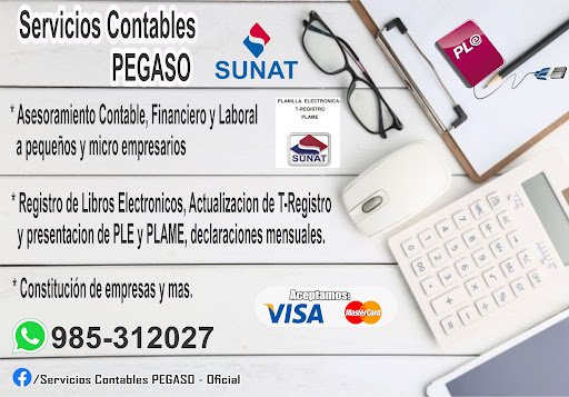 SERVICIOS CONTABLES PEGASO